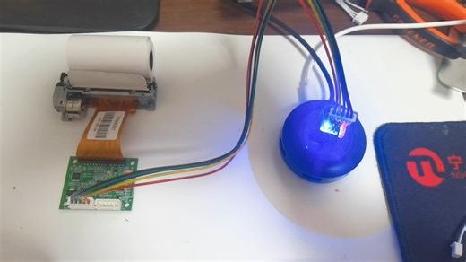 谁做过热敏打印机的项目指导一下