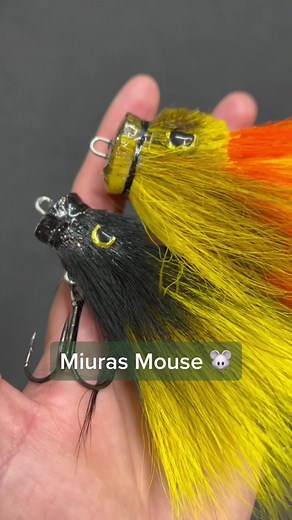 Qui a déjà pêché avec ce leurre plutôt atypique ?👀 #lalu #leurrealunite #miurasmouse #cwc #catchwithcare #pike #brochet #bigpike #peche #pecheur #fish #bigfish #fishing