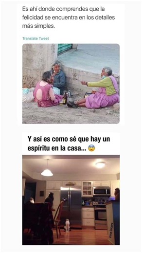 MEMES RANDOM XD