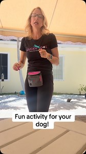 Lucky Dog Training Club on Reels