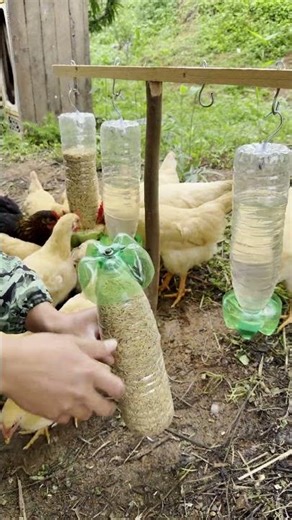 DIY Plastic Bottle Chicken Feeder Tutorial, Even Beginners Can Do It!