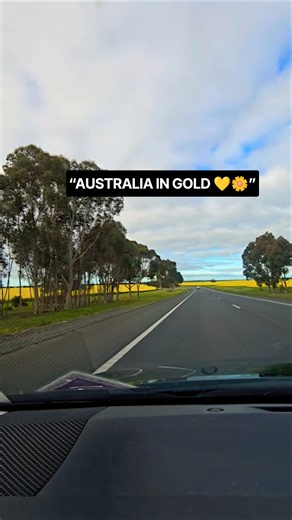 Australia’s Stunning Canola Season 💛🌼 | A Sea of Yellow