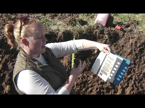 Soil Profiling: Color