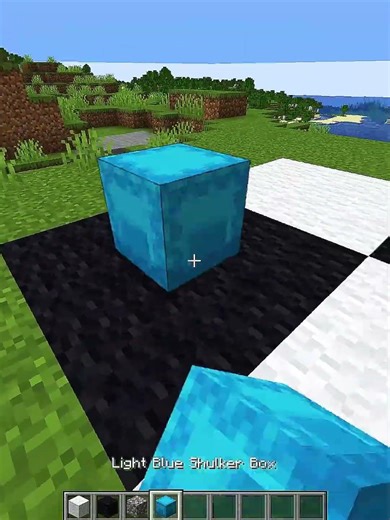 minecraft crazy illusion 💀#minecraft