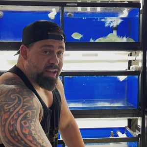 16K views · 457 reactions | New shipment in at 1AM!!!!!!!! I brought in one of my dream catfish . Now if you like pikes we got some really nice ones in. Full unboxing video ⬇️ https://youtu.be/sUv1TUzzOyU | Predatory Fins | Facebook