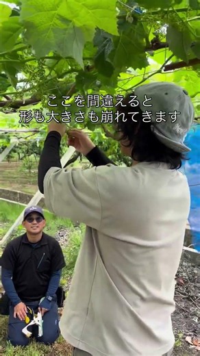 房の作り方をしっかり勉強してから作業に取り掛かります！