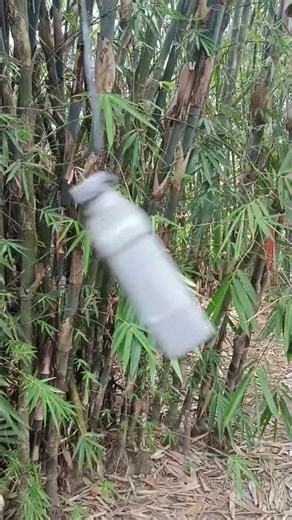 Improving Aim with Slingshot Targets