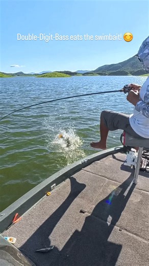 Pro Bass Adventures on Instagram: "Sometimes, big fish give us the slip. That's what keeps us coming back for more. Despite dumping this grande, Josh still managed 4 Double-Digit-Bass on this day 🔨 @probassadventuresmexico - clients enjoy free loaner fishing rods! G.Loomis IMX-PRO and GLX, Dobyns Champion and Xtasy models! Use as many as you need on your quest for giants Better call Pro Bass! #KingOfBaccarac 📞 425-345-8891 📞 "The Trophy Lodge" 🏆 • • • #ProBassAdventures #DumpleStiltSkins #Al
