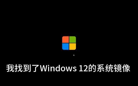 我找到了windows12的镜像