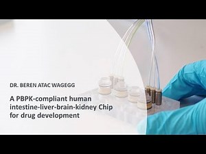 A PBPK-Compliant Human Intestine-Liver-Brain-Kidney Chip for Drug Development