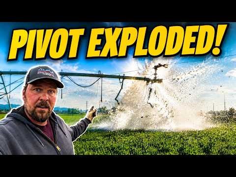 Turning On Irrigation Went Horribly Wrong!