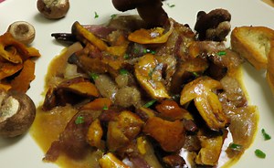 Dinde aux marrons et champignons