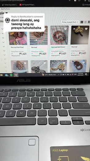 Ball Python Prices and Genetics in the Philippines