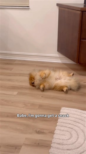 This Hedgehog and his snacks..