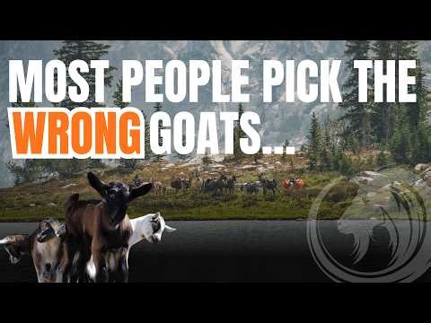 How to Spot a Future Pack Goat | What Marc Looks for in Kids