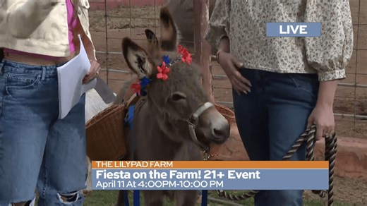 Sometimes you want a smaller Fiesta event to attend, and Lily Pad Farm School is here