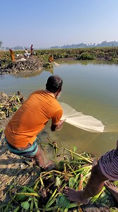 158K views · 785 reactions | Net Fishing | Village 74 | Facebook