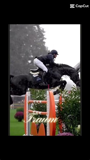 mein Traum ein gute Reiterin zu werden ✌️😌
