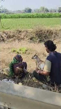 chor 😂prank #trending #trending #funny #trandingreaction #funnypranks #viral #comedy