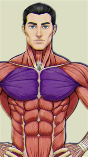 Stop Starting With Bench Press!