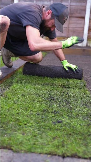 Turfing a lawn to finish the project #lawn #turf #landscaping #diy #gardening #grass
