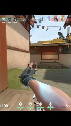 Valorant | Fz Colorbot Clip #8