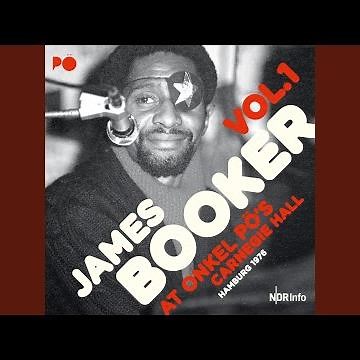 Rockin' Pneumonia and the Boogie Woogie Flu (Live)