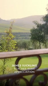 Flavor. Aroma. Structure. Learn wine appreciation from a critic who’s tasted 200,000 wines. | MasterClass