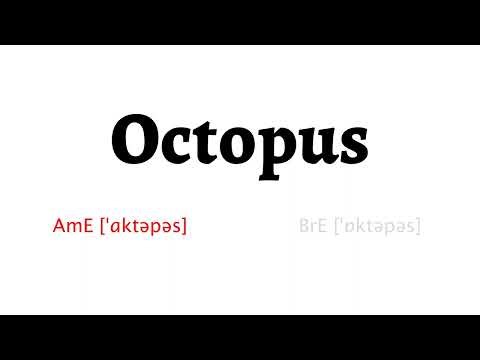 How to Pronounce octopus in American English and British English