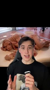 A study exploring early research on human–animal hybrids