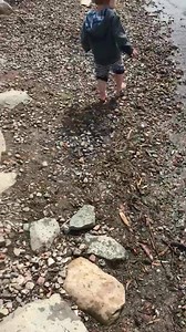 Loch has determined that it is beach weather. | Kalin Mitchell CTV