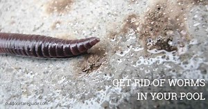 How to Get Rid of Worms in Your Pool for Good!