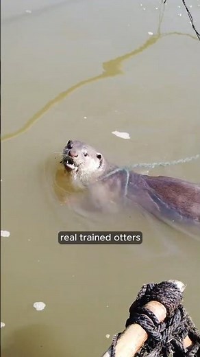 Bangladesh’s Secret Fishing Tradition 😱