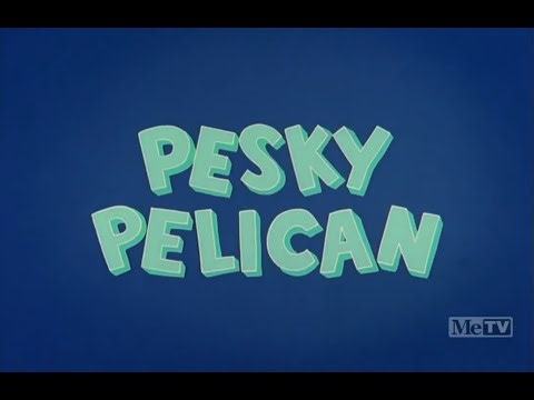 Chilly Willy-Pesky Pelican(1963)-Opening Titles Only