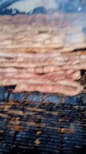 تحية خاصة لناس عامر وأخوته