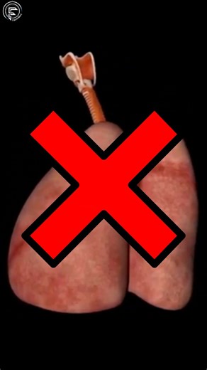 Amazing Ants Facts Revealed 🤯 #shorts