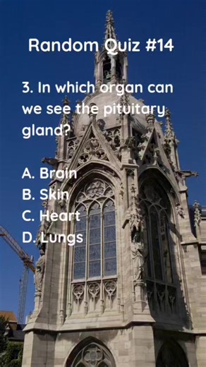 Put your knowledge to the test and show off your smarts with our fun-filled quiz! 🧠 Think you're smart? #learningadventures #poweroflearning #reelsfb #reelsviral #quizinstagram #education #pubquiz #fyp #quiznight #knowledge #facts #quiz #QuizTime #Quizzes #trivia #trivianight #TriviaTime #TriviaTuesday #TriviaGame #factsdaily #factsonly #fact #factsoflife | Clever & Wise Quiz