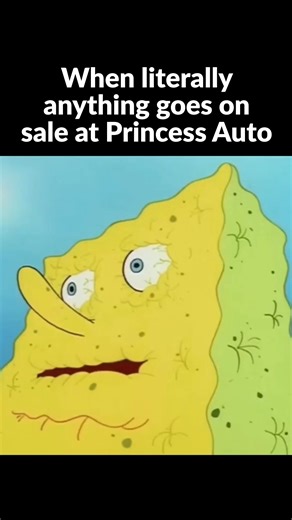 And slowly… those wants become needs 😂 | Princess Auto