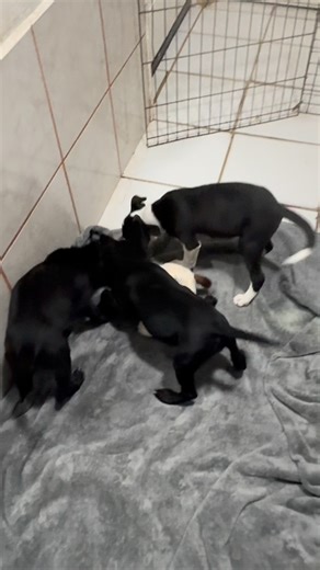 274 reactions · 37 shares | Remember these two little girls that were...