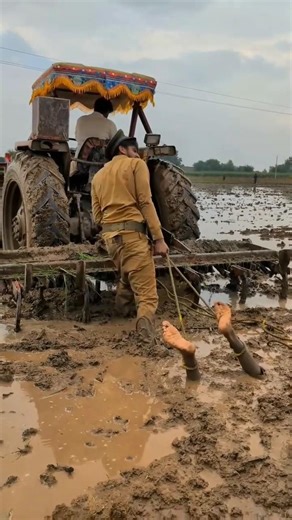 ନେଇ ସମ୍ବଲପୁରୀ ଶୋଙ୍ଗ ଭିଡିଓ ଟ୍ରେନିଙ୍ଗ ମନ୍ତୁ ଛୁରୀରିଆ ଫୁଲ ସଙ୍ଗ[🌿🤣✅]2026 || (@DIA_1K..-DF