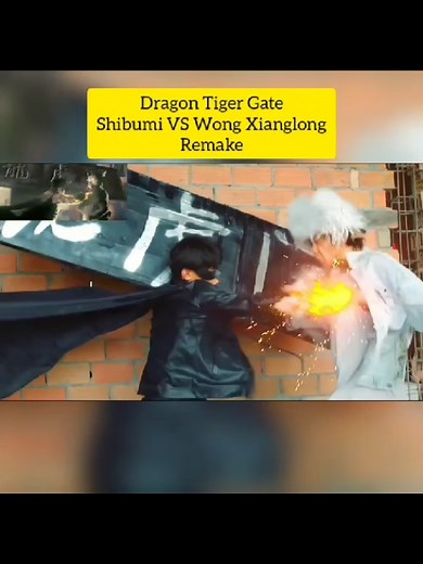 Dragon Tiger Gate Remake: Shibumi vs Wong Xiaonglong