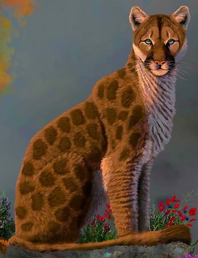 Eurasian Puma Sound Effects 🐆 🔊