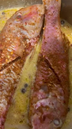 Red mullet cooking #asmr #fypppppppppppppp #fypage #uktiktok #jamaica #uktiktok #fyp #europe #quickrecipes #recipes #yummy #asmr