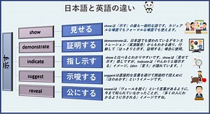 【示す】show/demonstrate/indicate/suggest/reveal｜丸暗記英語からの脱却ブログ