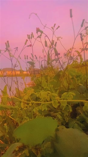 Abraham Hicks | The more problems you give up, the more of them solve themselves. #AbrahamHicks #Manifestation #LawOfAttraction #FeelGoodNow #ManifestYourDreams