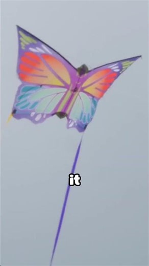 Why Erratic Flight Keeps Butterflies Safe #survival #wildlife