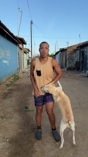 Playful Moments: Man and Dog Enjoy Sunny Day Outdoors