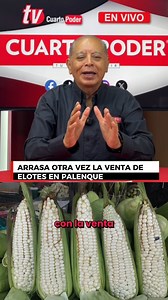ARRASA OTRA VEZ LA VENTA DE ELOTES EN PALENQUE#NoticiaAlMomento #CuartoPoderMx #TuDiarioVivir #Chiapas | Cuarto Poder Mx