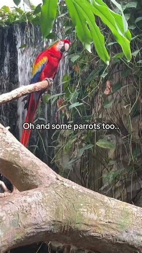 Did you know the National Aquarium (Baltimore) has two sloths? 🦥🦥 This is a perfect things to do