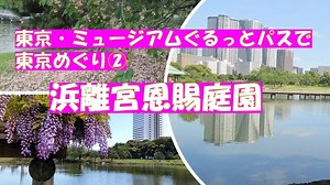 浜離宮恩賜庭園　東京・ミュージアムぐるっとパスで庭園や美術館をめぐりました。徳川家の庭園、浜離宮恩賜庭園は潮入の池にかかるお伝い橋の藤棚の藤がきれいでした。